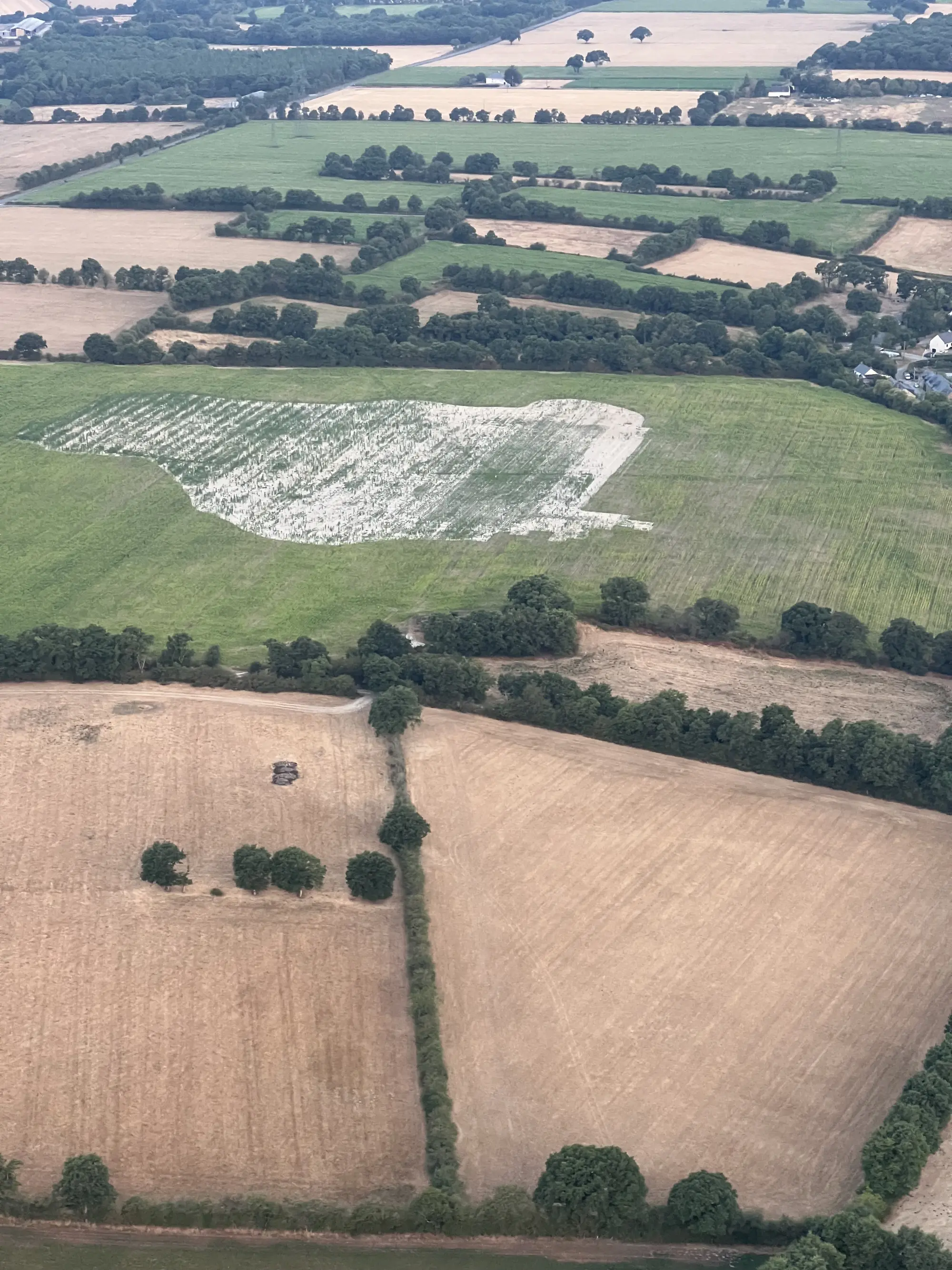 Photo du vol : balade dans les airs en montgolfière