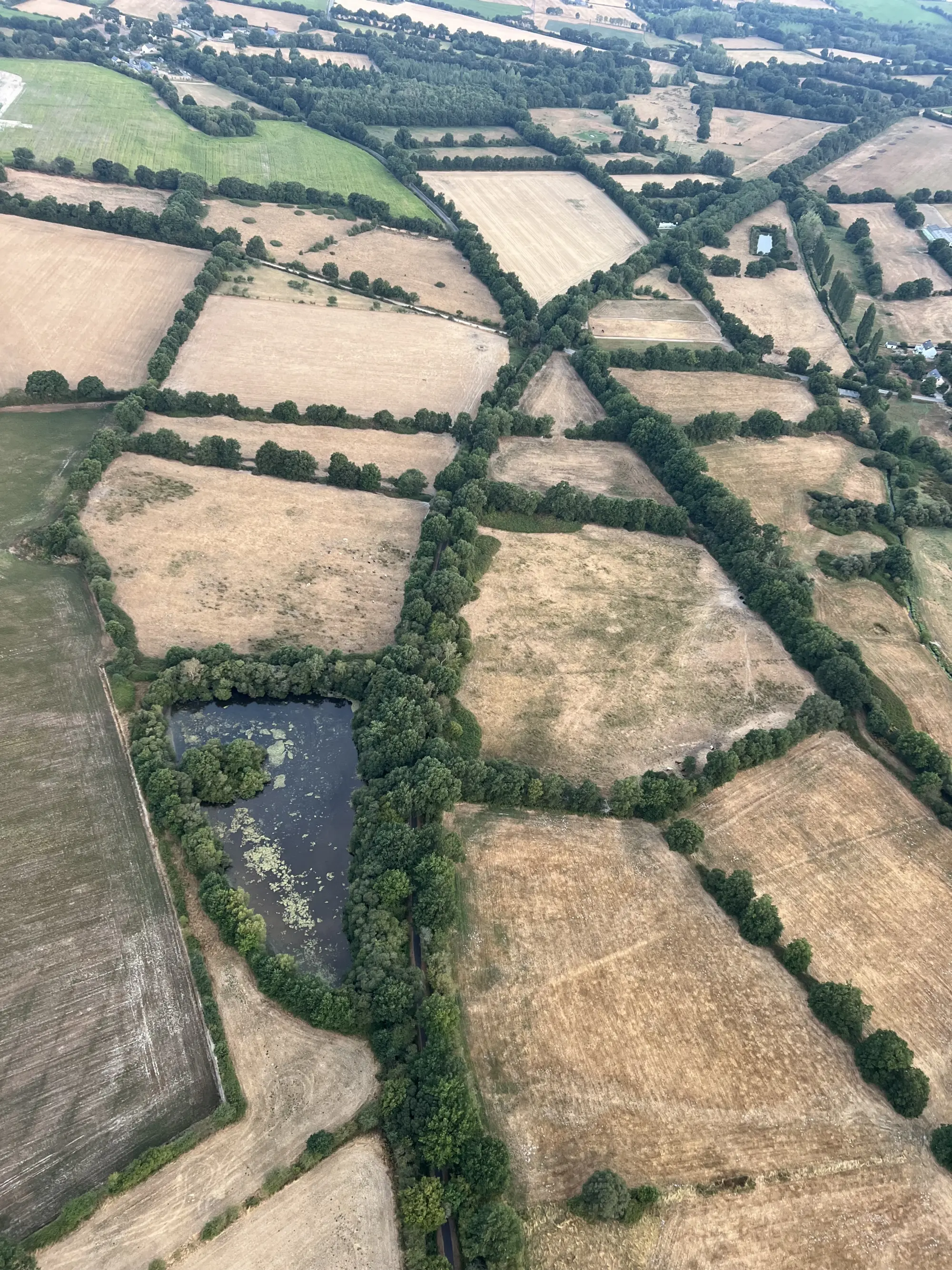 Photo du vol : balade dans les airs en montgolfière