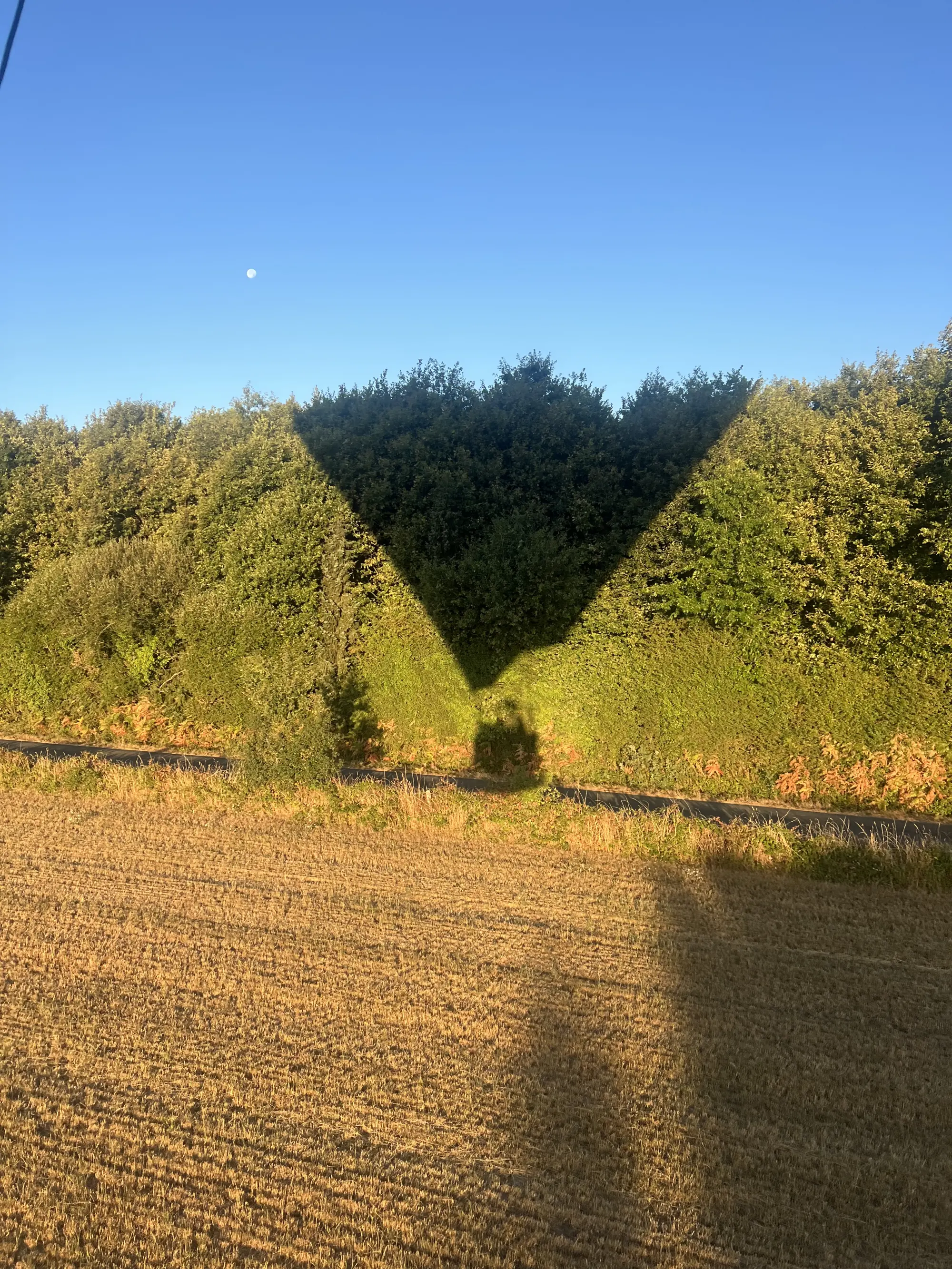 Photo du vol : alignement d’éolienne